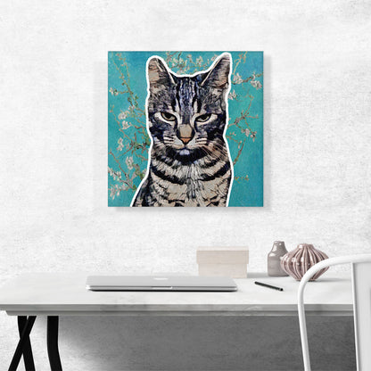 Egyptian Mau Cat Breed Teal