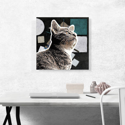 European Shorthaired Cat Breed