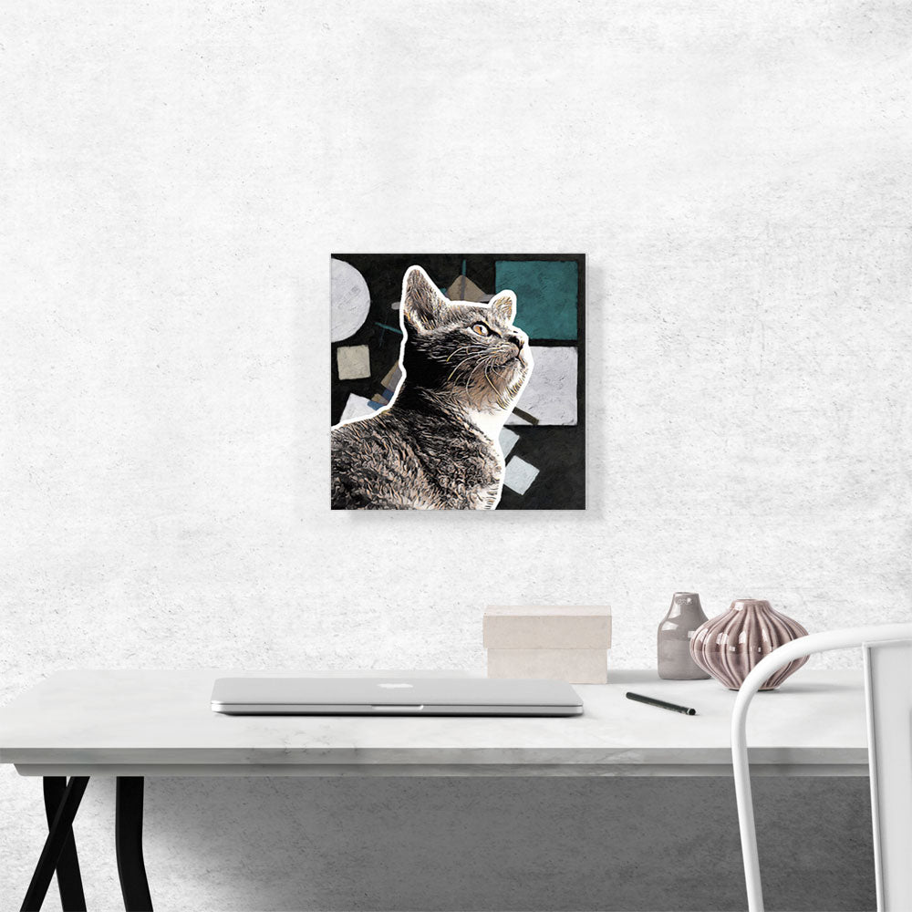 European Shorthaired Cat Breed