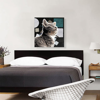 European Shorthaired Cat Breed
