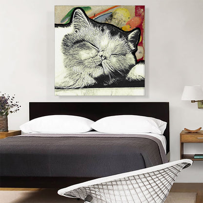 Exotic Shorthair Cat Breed Sleeping