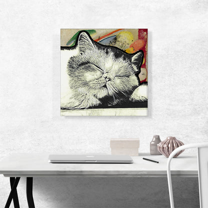 Exotic Shorthair Cat Breed Sleeping