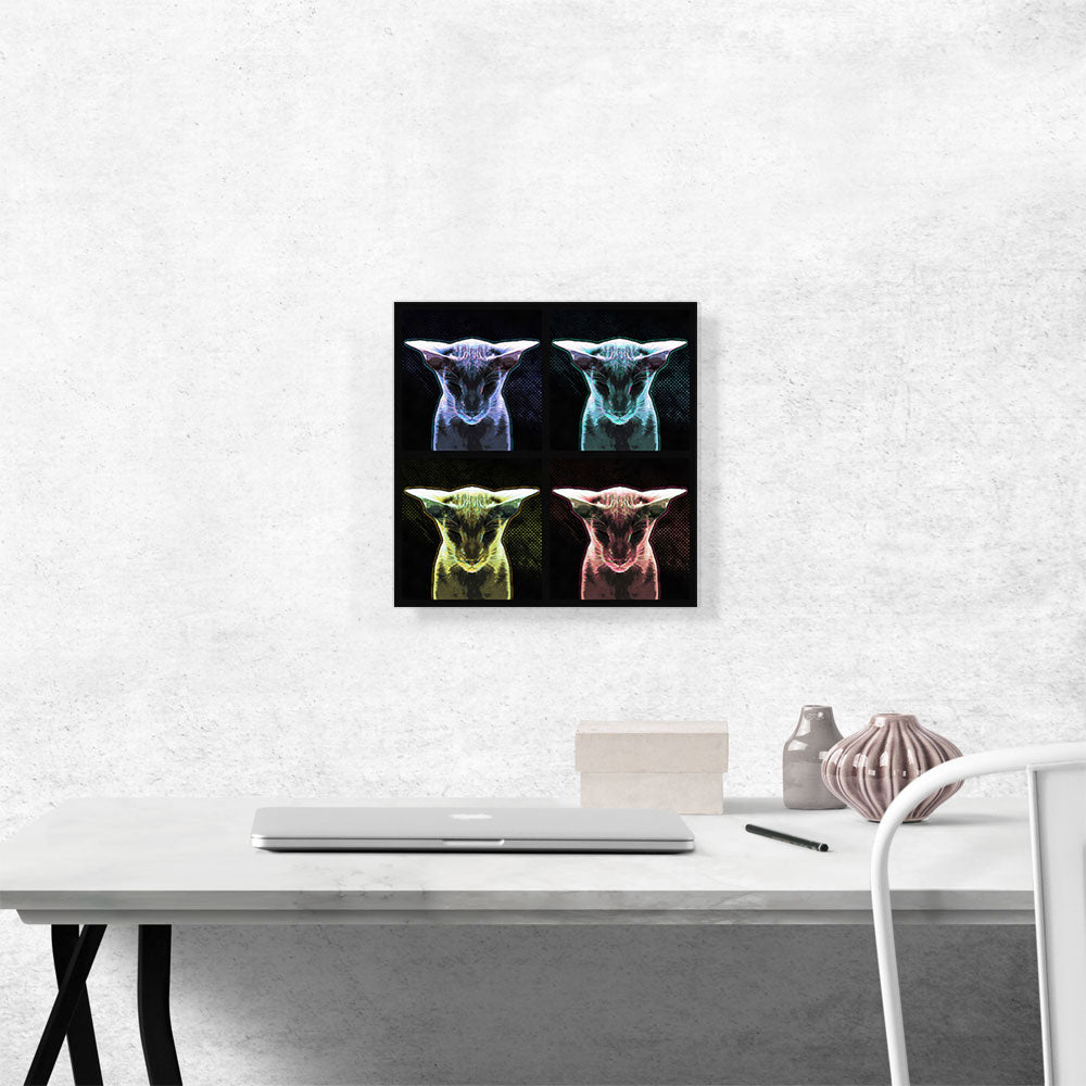 Havana Brown Cat Breed Tech Collage