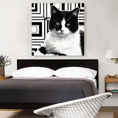 Aegean Cat Breed Black and White