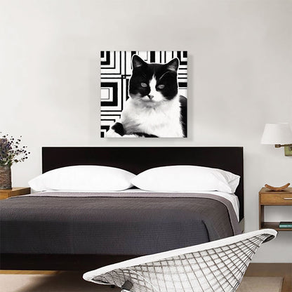 Aegean Cat Breed Black and White