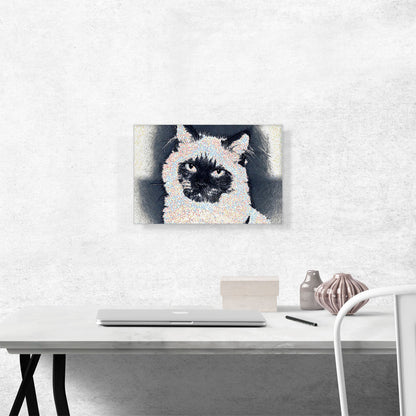 Himalayan Cat Breed Dots