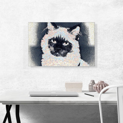 Himalayan Cat Breed Dots