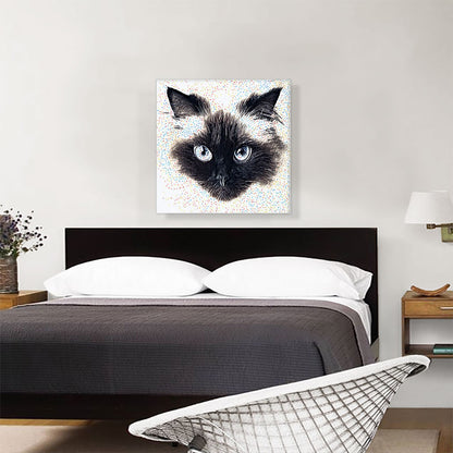 Himalayan Cat Breed Floating Face