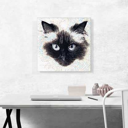 Himalayan Cat Breed Floating Face