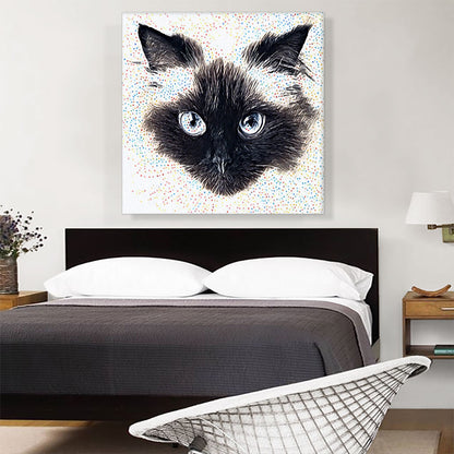 Himalayan Cat Breed Floating Face