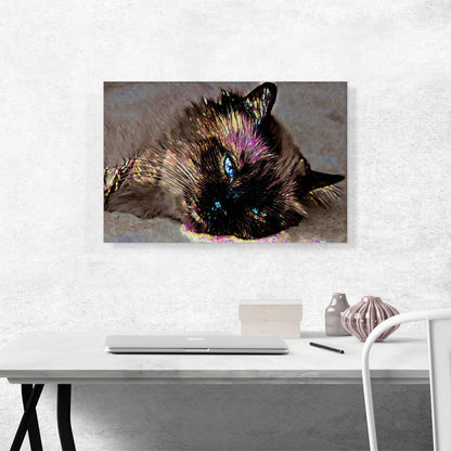 Himalayan Cat Breed Sparkling Face