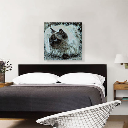 Himalayan Cat Breed