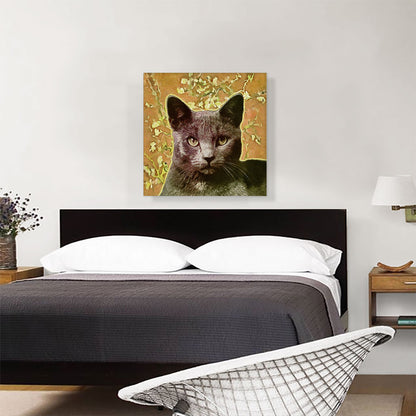 Korat Cat Breed Orange