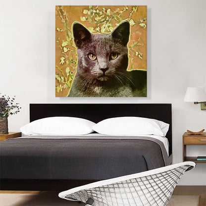 Korat Cat Breed Orange