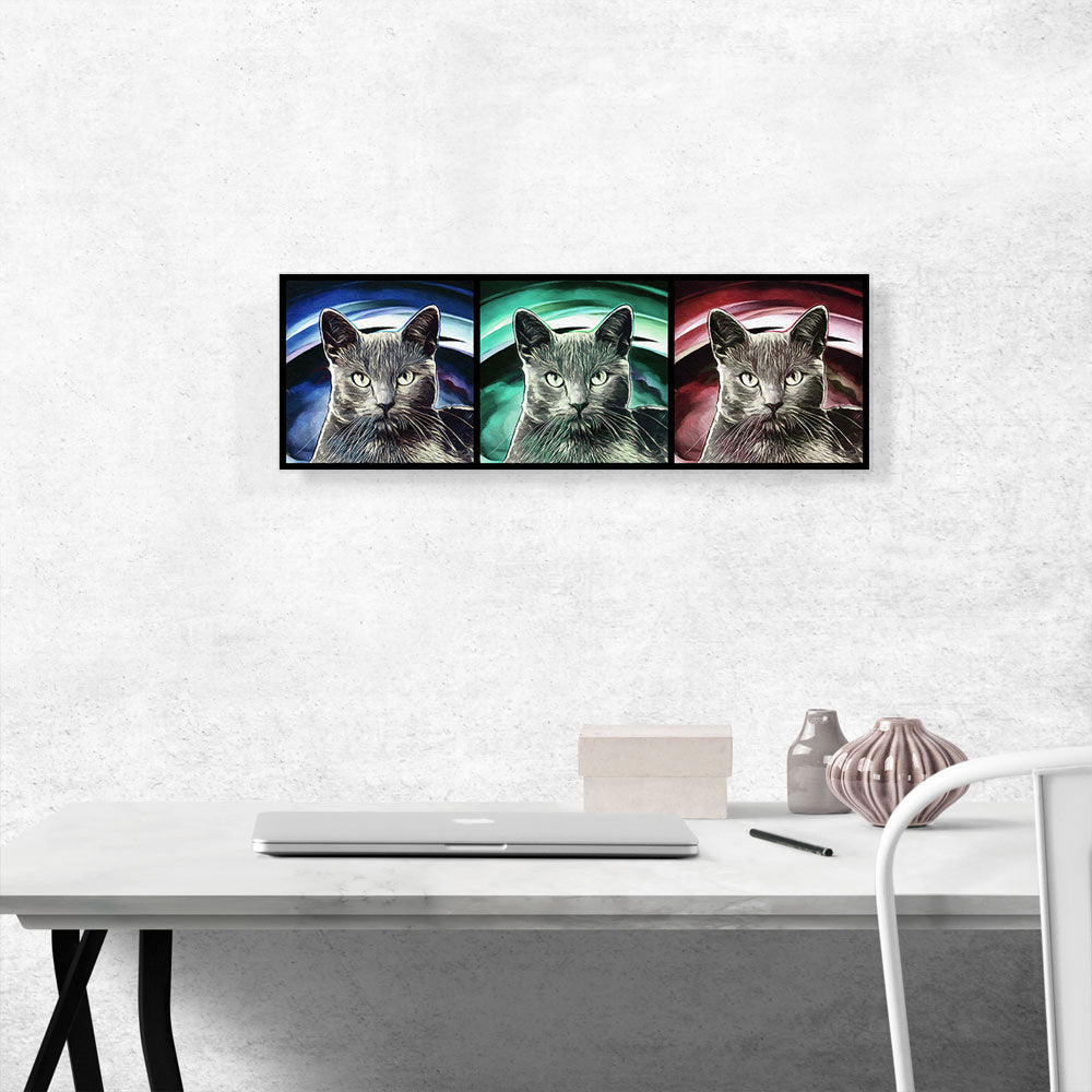 Korat Cat Breed Panoramic
