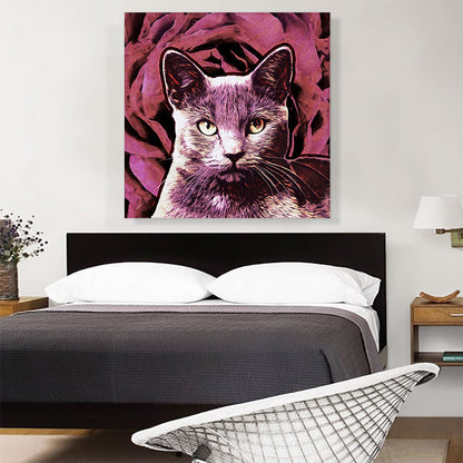 Korat Cat Breed Rose