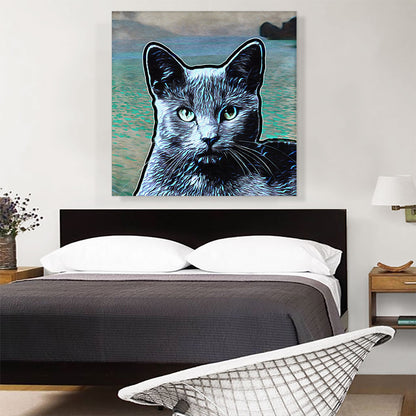 Korat Cat Breed Water