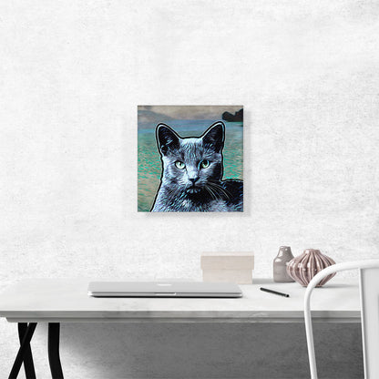 Korat Cat Breed Water