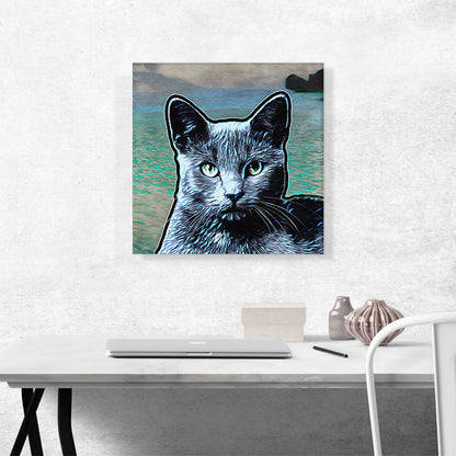 Korat Cat Breed Water