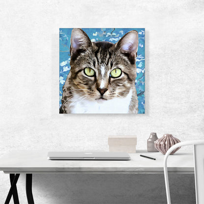 Aegean Cat Breed Blue