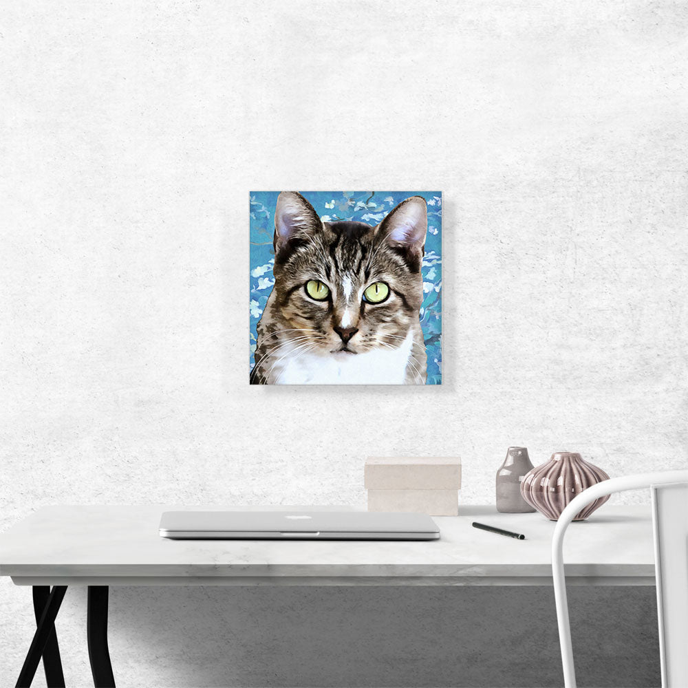 Aegean Cat Breed Blue
