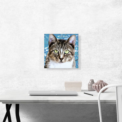Aegean Cat Breed Blue