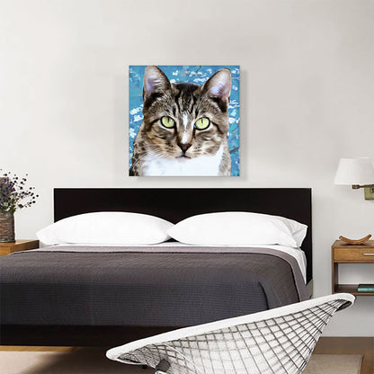 Aegean Cat Breed Blue