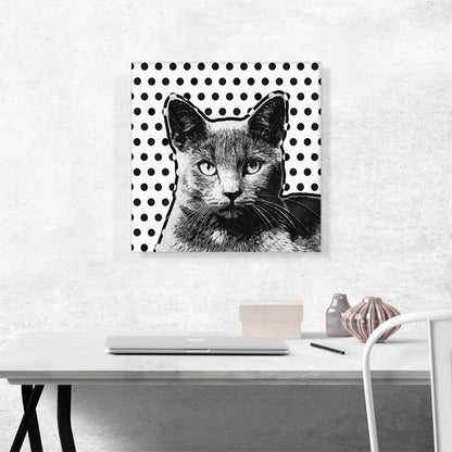 Korat Cat Breeds Dots