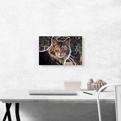 Maine Coon Cat Breed Alley