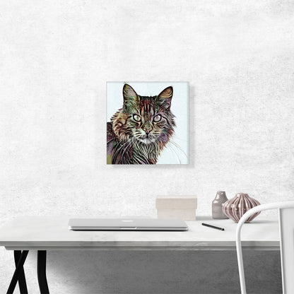 Maine Coon Cat Breed White