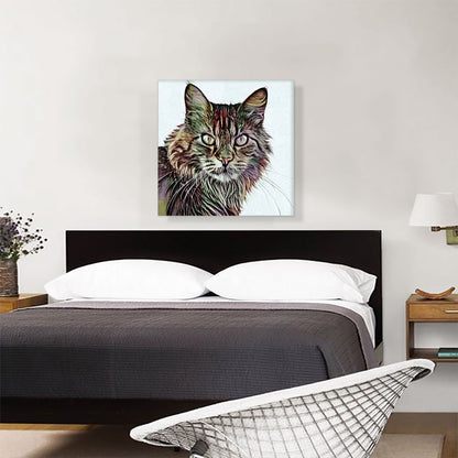 Maine Coon Cat Breed White