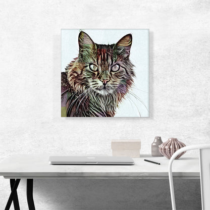 Maine Coon Cat Breed White