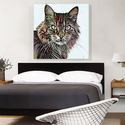 Maine Coon Cat Breed White