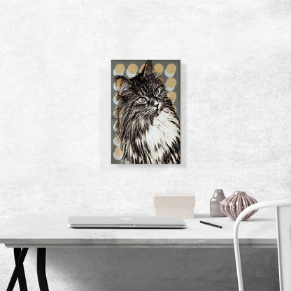 Maine Coon Cat Breed
