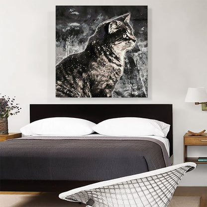 Manx Cat Breed Snow