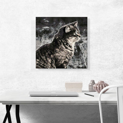 Manx Cat Breed Snow