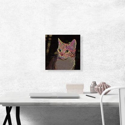 Munchkin Cat Breed Bright Dots