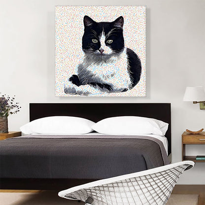 Aegean Cat Breed Dots