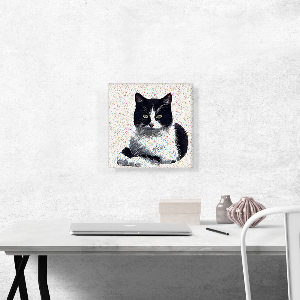 Aegean Cat Breed Dots