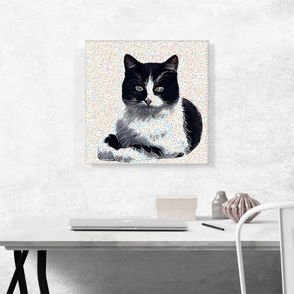 Aegean Cat Breed Dots