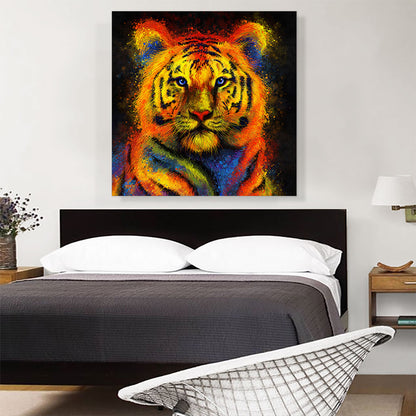 Tiger Animal