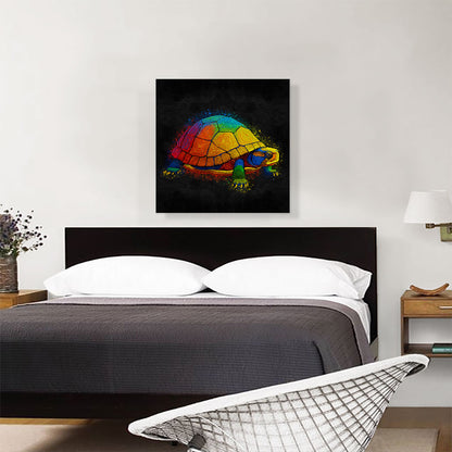 Turtle Tortoise Reptile Animal
