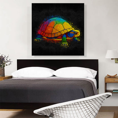 Turtle Tortoise Reptile Animal