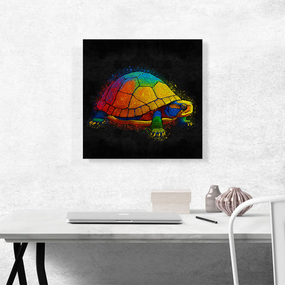 Turtle Tortoise Reptile Animal
