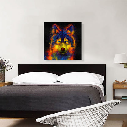 Wolf Gray Grey Canine Animal