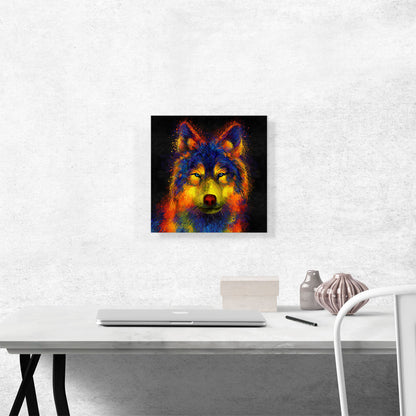 Wolf Gray Grey Canine Animal