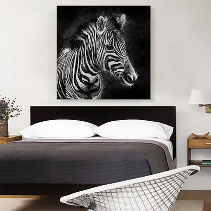 Zebra Black White Stripes Africa