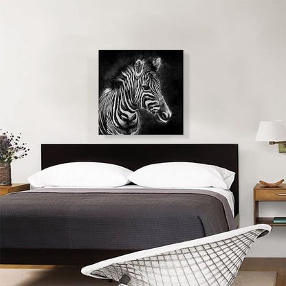 Zebra Black White Stripes Africa
