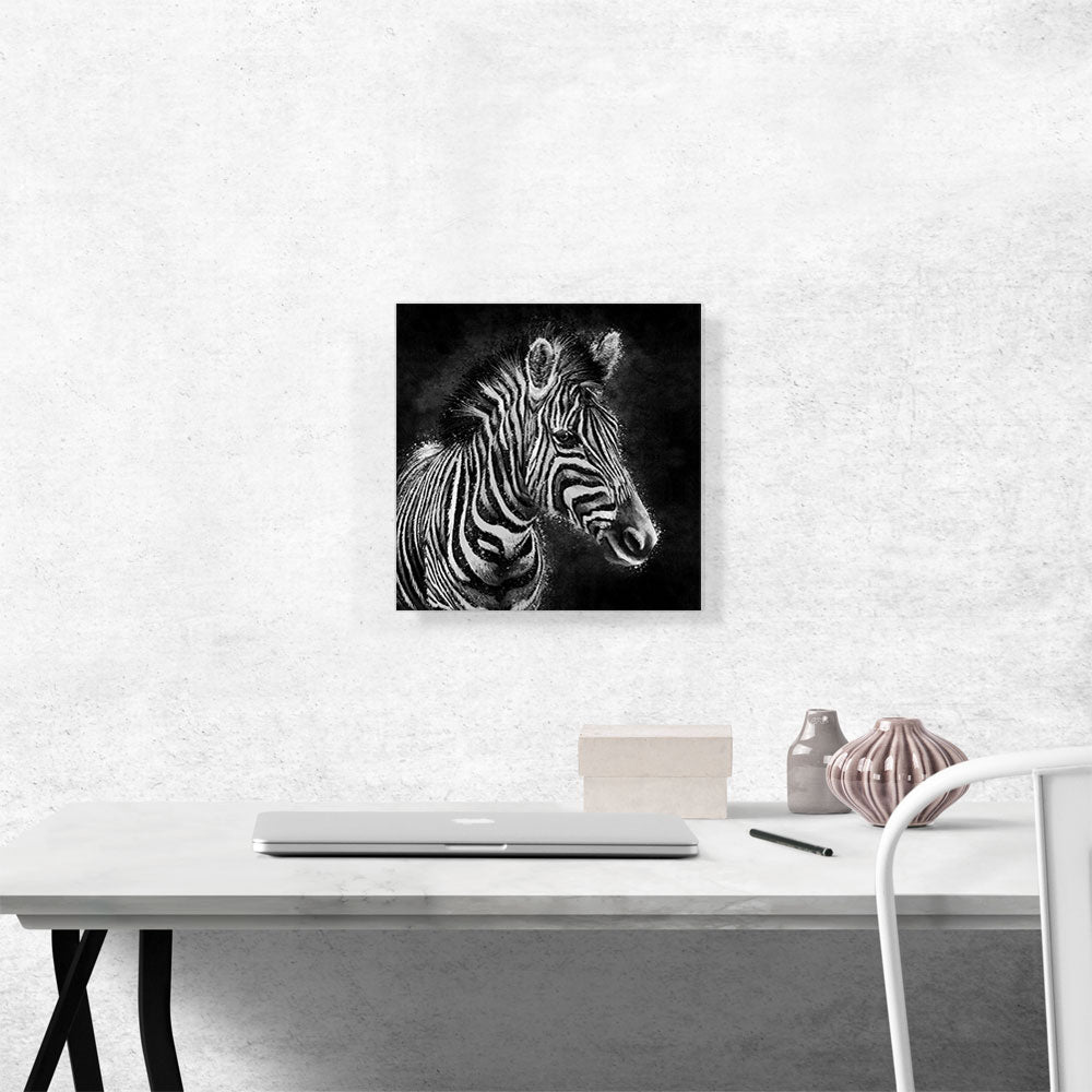 Zebra Black White Stripes Africa
