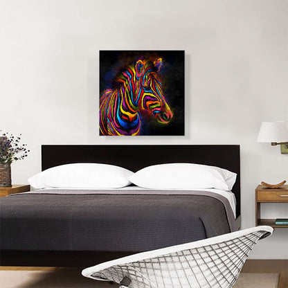 Zebra Colorful Stripes Africa